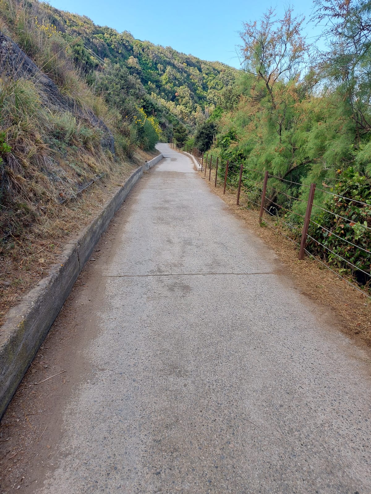 TAGLIO DEL VERDE, PROSEGUONO I LAVORI IN VISTA DELLA STAGIONE ESTIVA