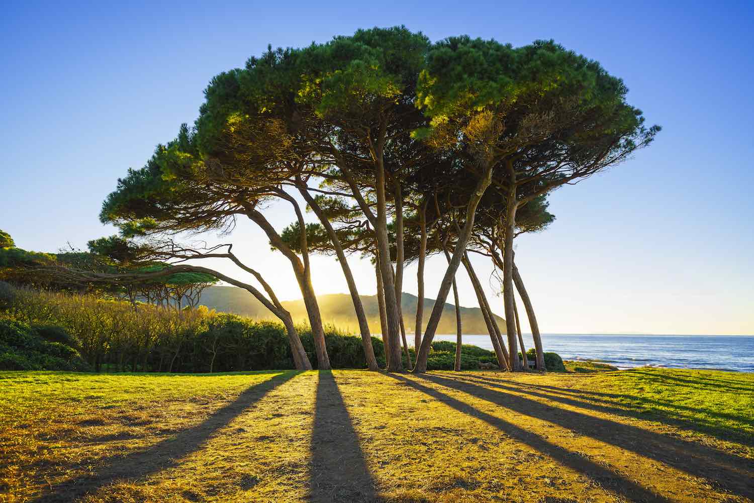 PISTA CICLOPEDONALE PER BARATTI, VIA LIBERA ALLA REALIZZAZIONE DEL COLLEGAMENTO DAL PARCHEGGIO DELLE CALDANELLE