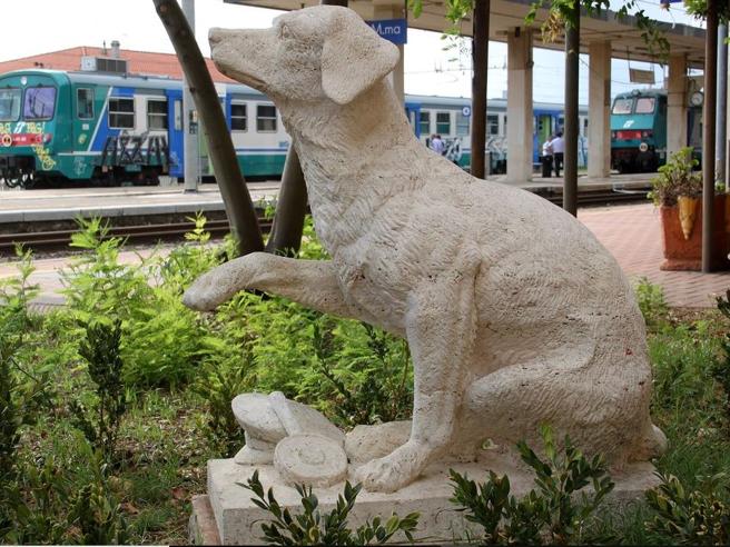 SULLE ORME DI LAMPO, UNA�DOMENICA�DI TREKKING IN RICORDO DEL CANE VIAGGIATORE