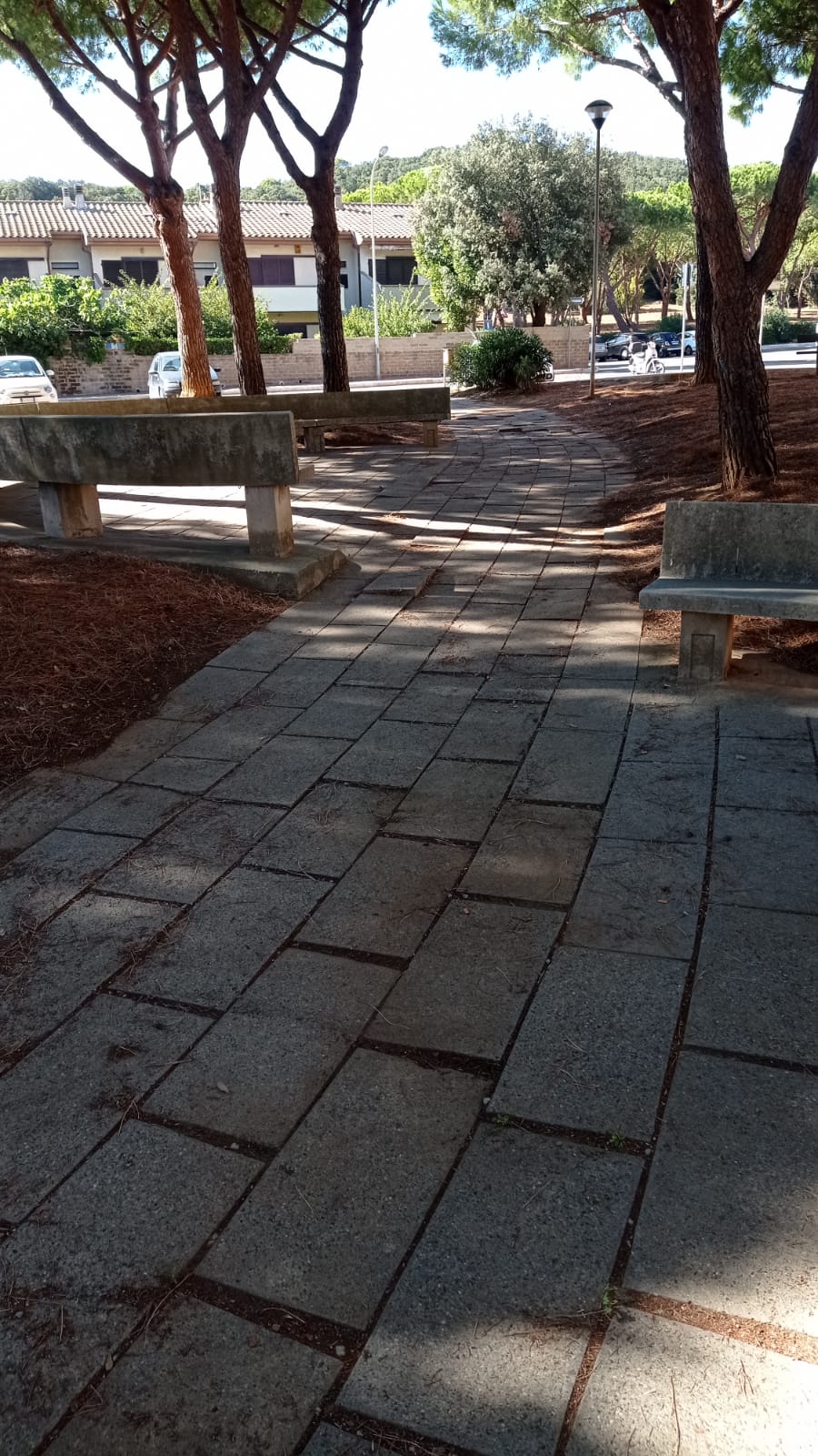 DECORO URBANO, RIMOSSA UNA DISCARICA ABUSIVA ED ESEGUITI INTERVENTI DI PULIZIA NEI GIARDINI