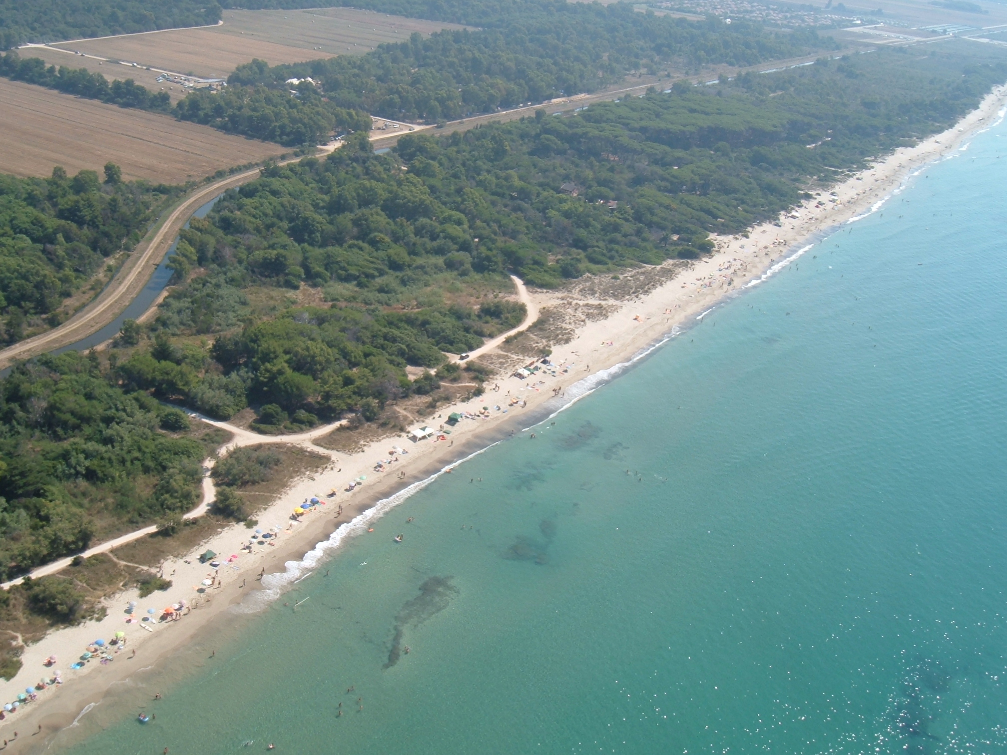 Riserva naturale nellarea ex Anpil del parco della Sterpaia: sospesa la richiesta alla Regione in attesa dei nuovi strumenti urbanistici