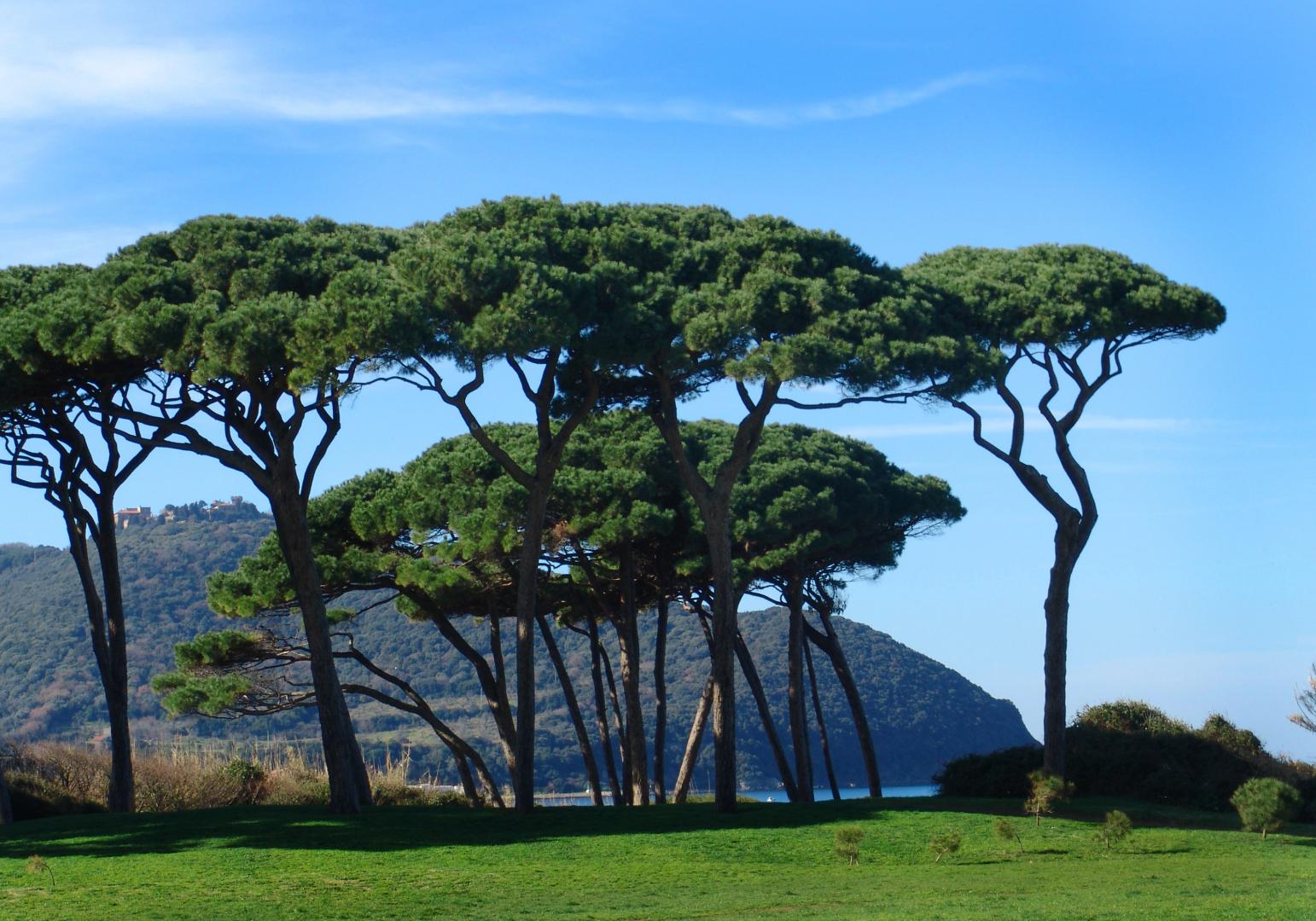 Tutela dellambiente costiero: al via i progetti mirati per Baratti e Costa est