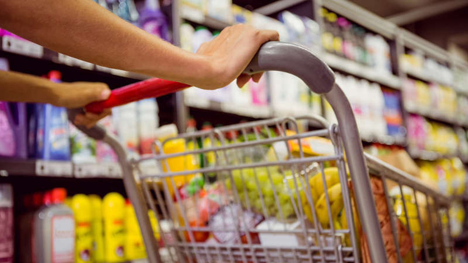 CONTRIBUTO PER L\'ACQUISTO DI BENI DI PRIMA NECESSIT, DAL COMUNE 139 MILA EURO PER LE FAMIGLIE IN DIFFICOLT