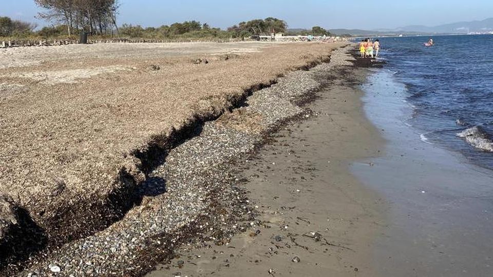 Progetto Posidonia, il Comune ha realizzato un piano per la corretta gestione della pianta marina spiaggiata