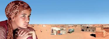 L\'oasi della memoria. In sala consiliare presentazione del rapporto sulle violazioni dei diritti del popolo Saharawi