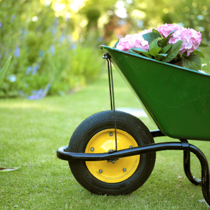 Aree verdi. Nuove aree in adozione e bando per la rotatoria di Riotorto
