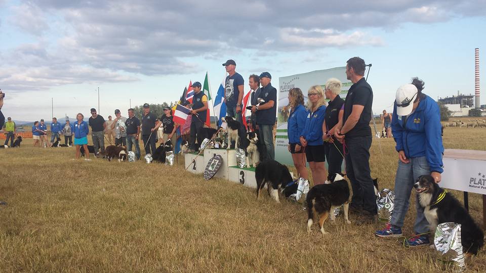 L\'Olanda si aggiudica il primo premio del Campionato europeo Sheepdog