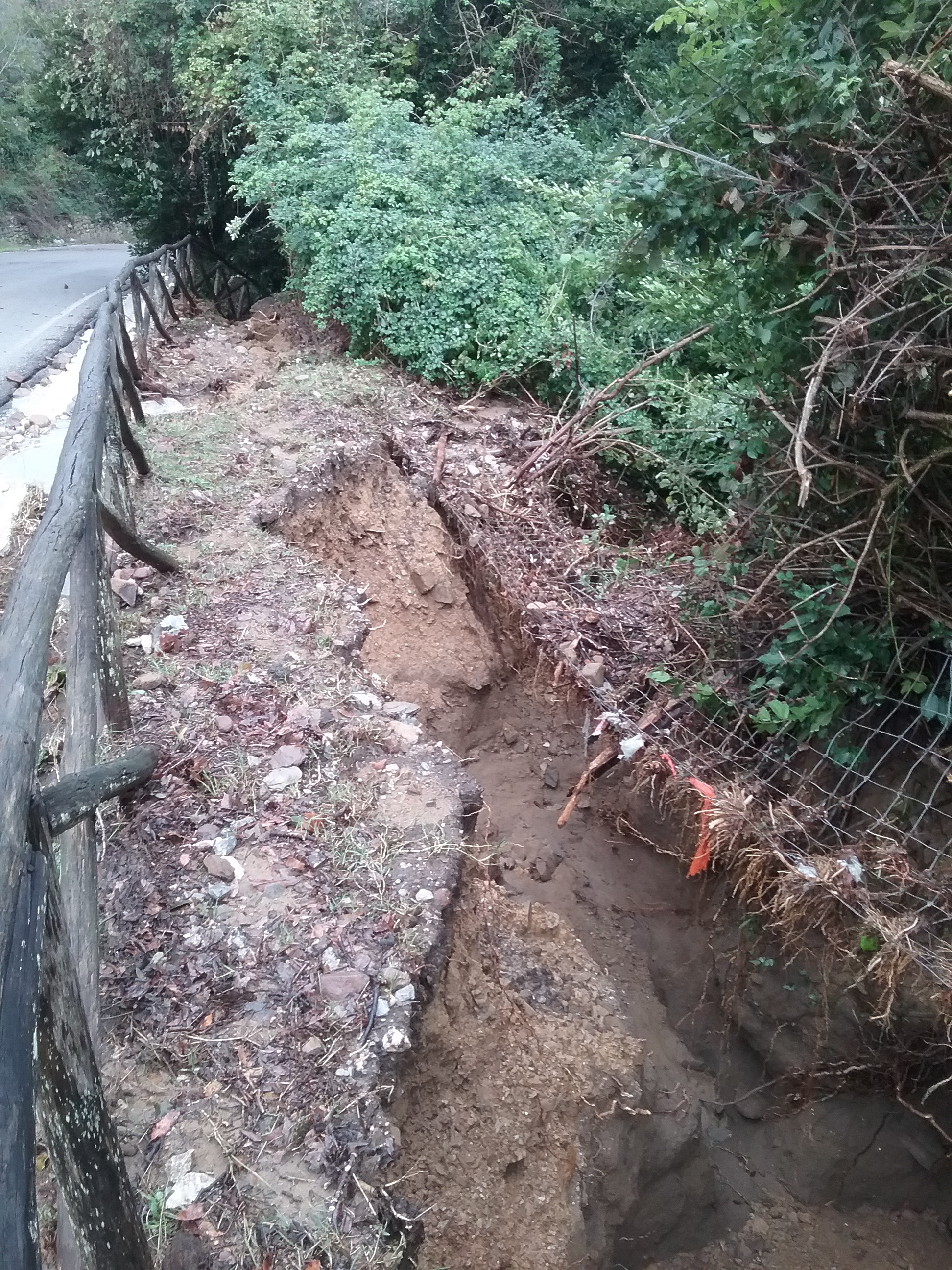 I danni al Parco archeologico di Baratti e Populonia per il maltempo