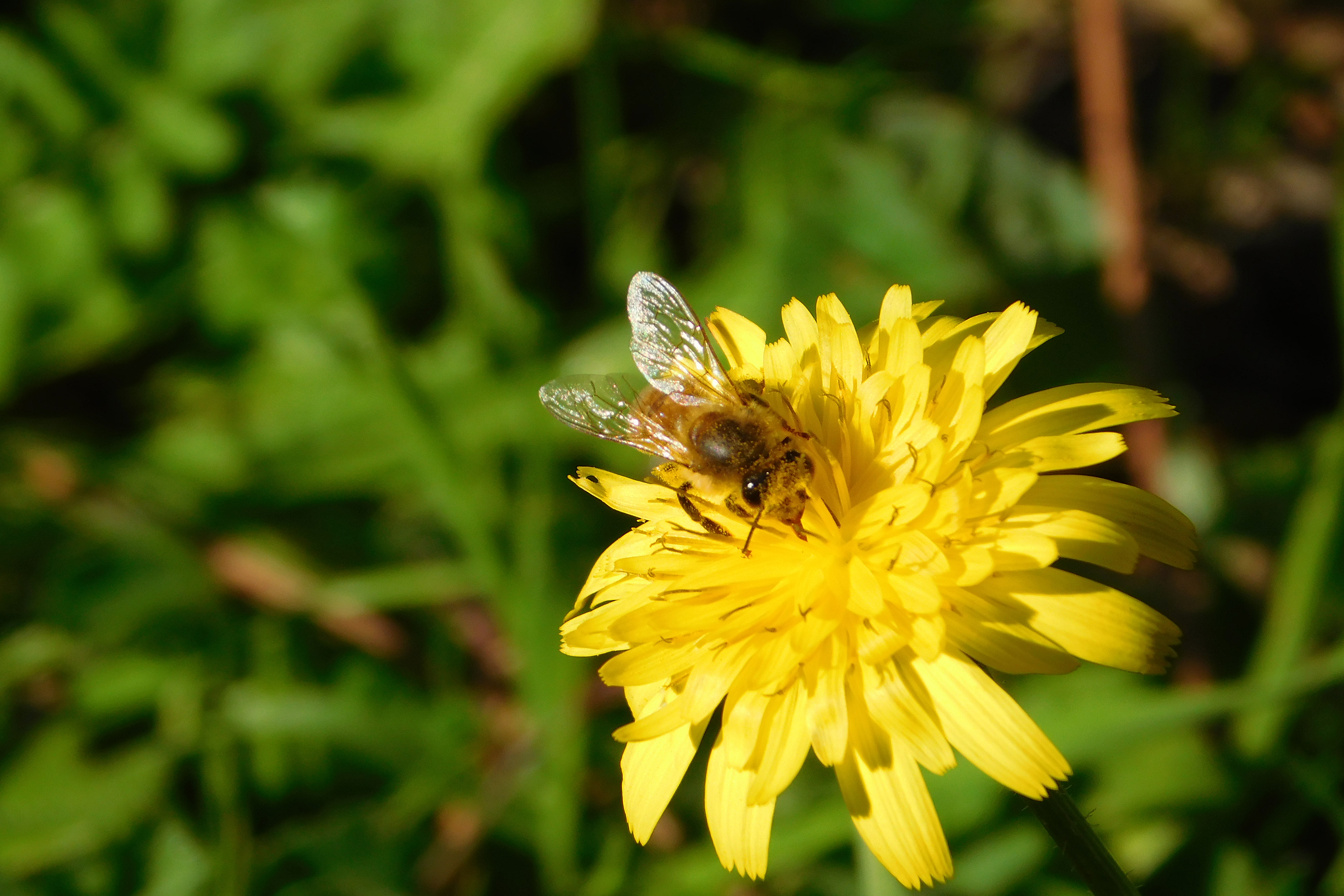 Al Centro Giovani mostra fotografica di Giampiero Magnani