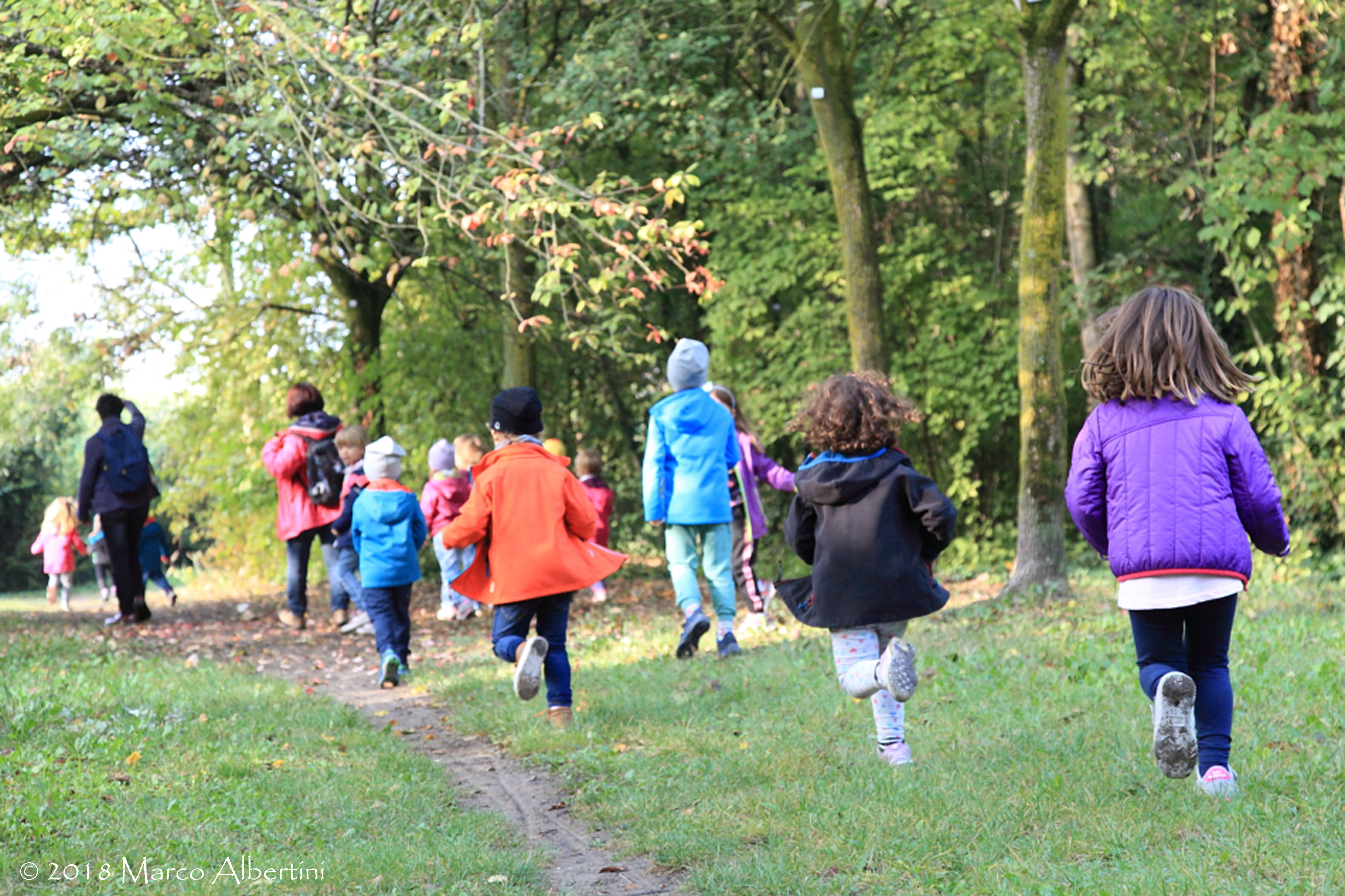 Parte il progetto �Il Nostro Territorio Racconta�� rivolto alle scuole di Piombino