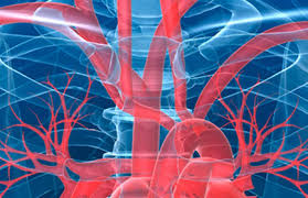 Emodinamica, il consiglio unito nella richiesta di un servizio a Piombino