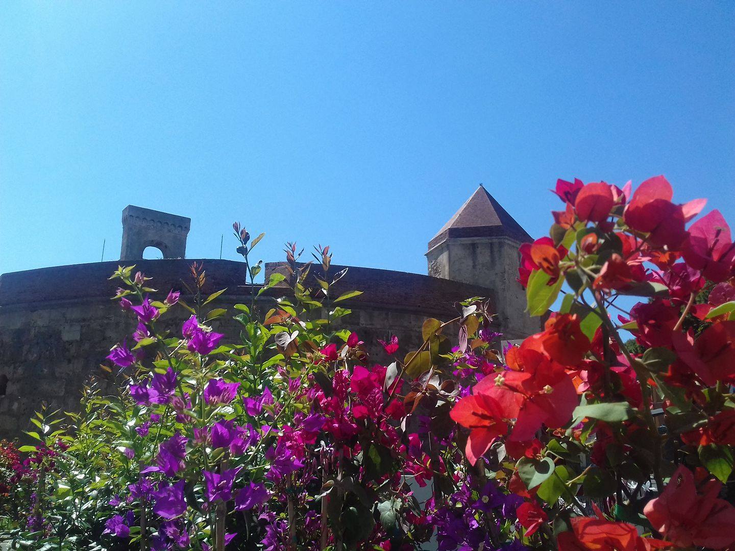 Torna "Orto e Giardino". La fiera del verde e dei fiori in citt&agrave;