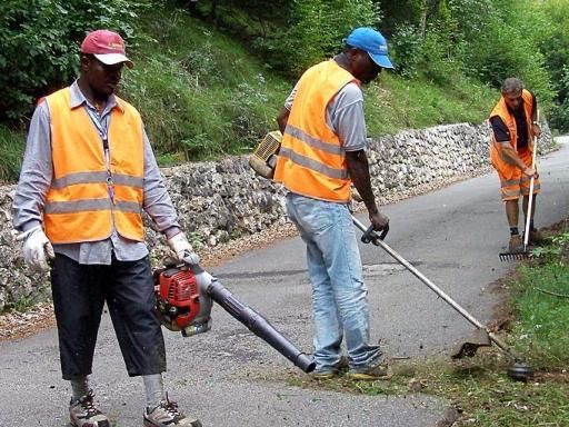 Taglio erba in citt&agrave;. Il programma e le modalit&agrave; degli interventi