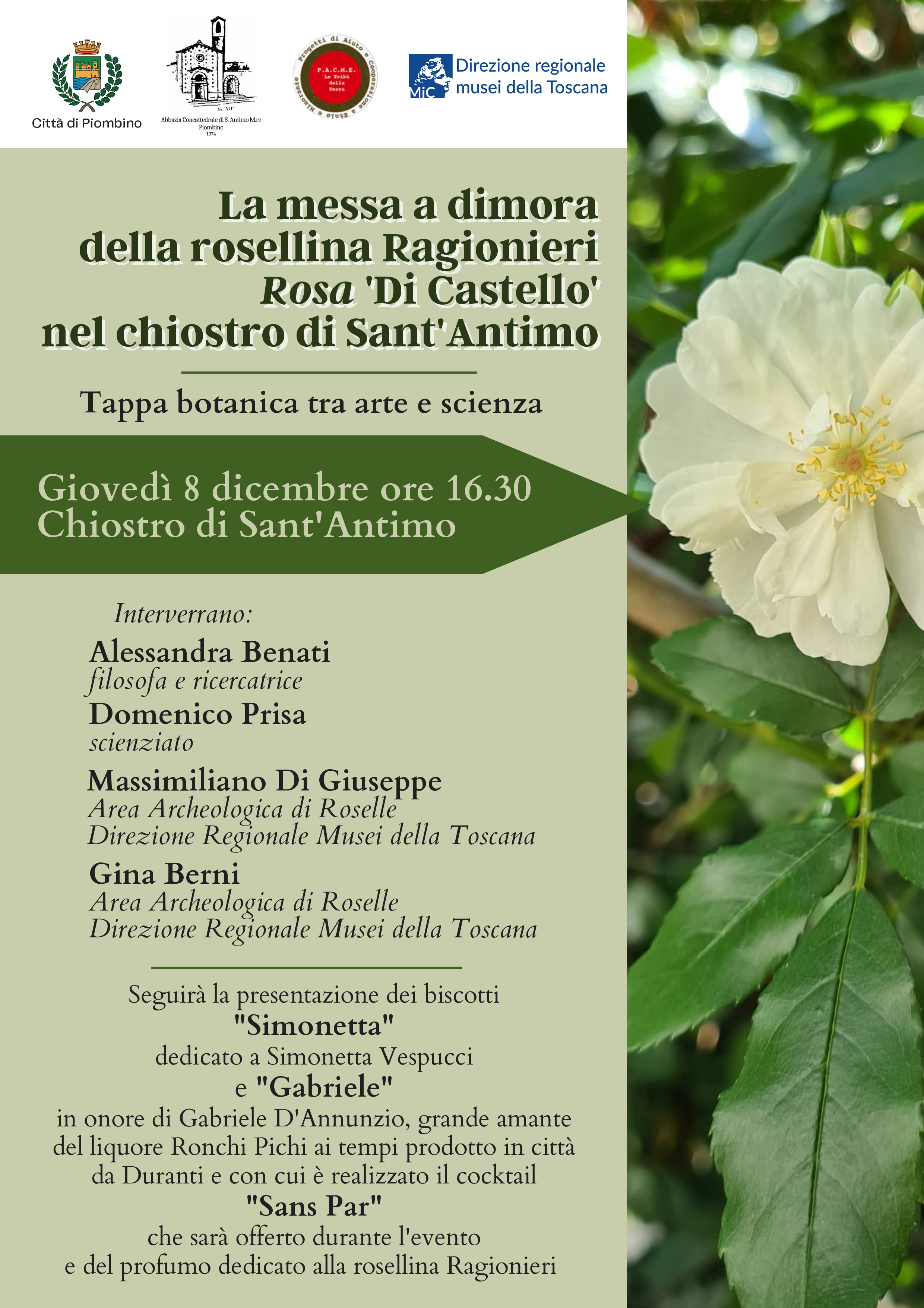Un convegno dedicato alla rosellina Ragionieri Rosa Di Castello, gioved 8 dicembre nel Chiostro di SantAntimo