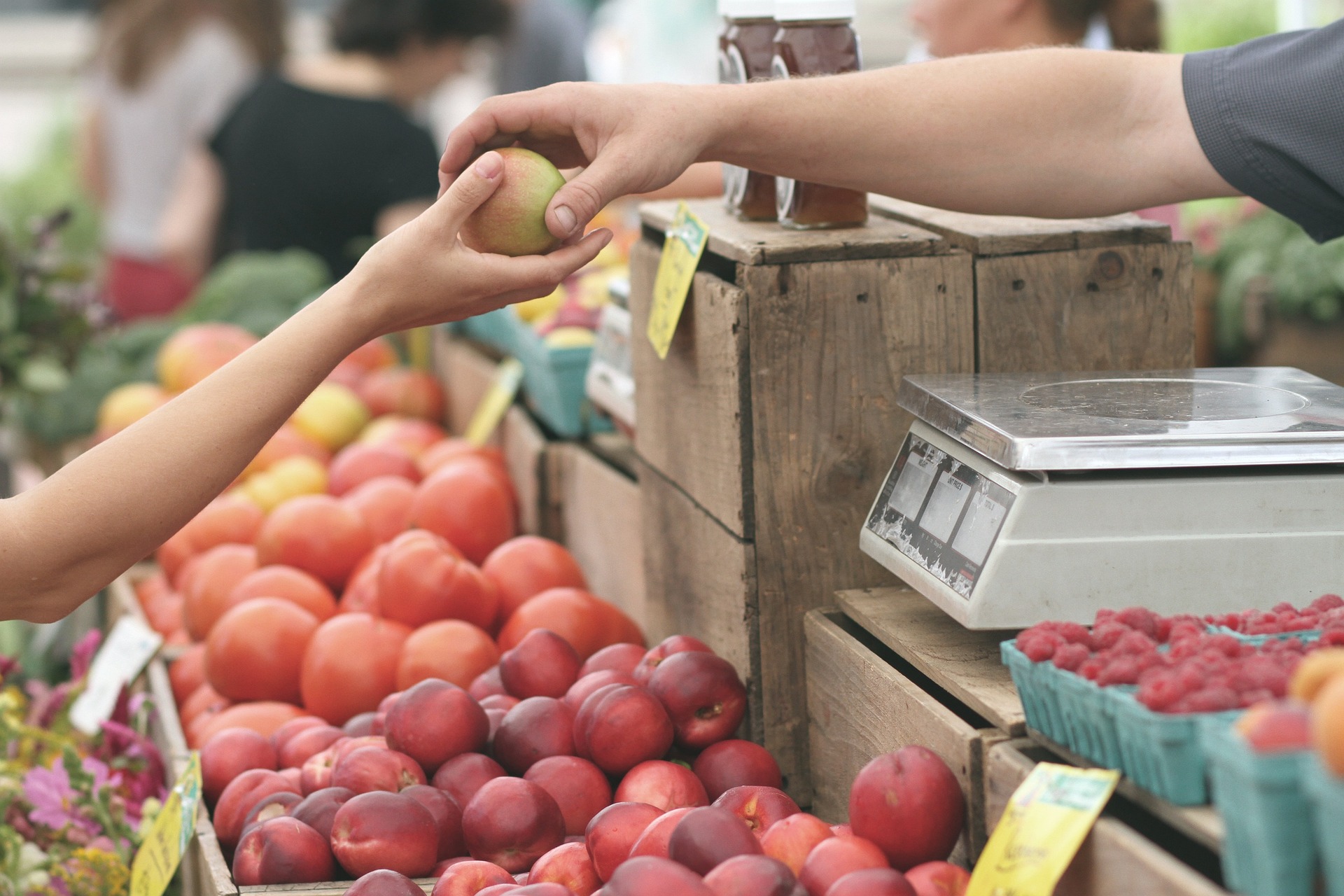 Al via il nuovo Piano del Commercio su Aree Pubbliche: le principali novit�