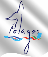 Piombino al primo meeting internazionale dei Comuni del Santuario Pelagos