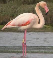 Orti Bottagone, annessa l\'area di Perelli Bassi all\'Oasi Wwf Votata all\'unanimit&agrave; la mozione in Consiglio comunale