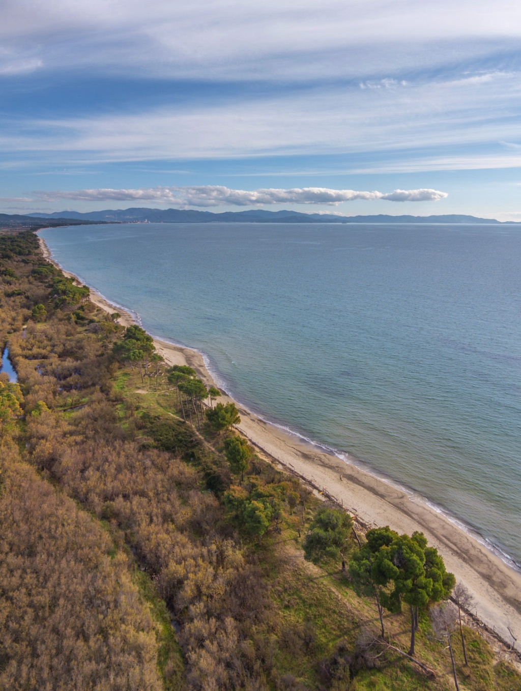Al via la ricostruzione del Nano Verde alla Sterpaia Saranno direttamente i titolari a ricostruire il fabbricato andato distrutto di propriet&agrave; comunale