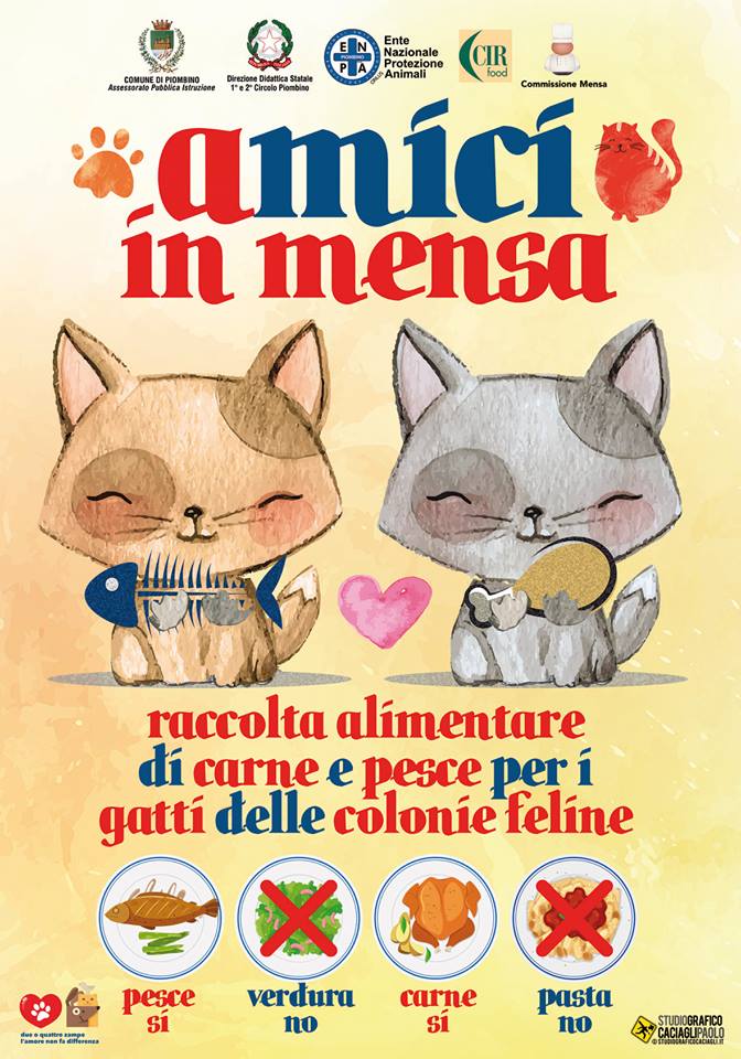 Gli avanzi della mensa scolastica per le colonie feline Conclusa positivamente la sperimentazione in tre scuole Dal prossimo anno l\'avvio ufficiale del progetto