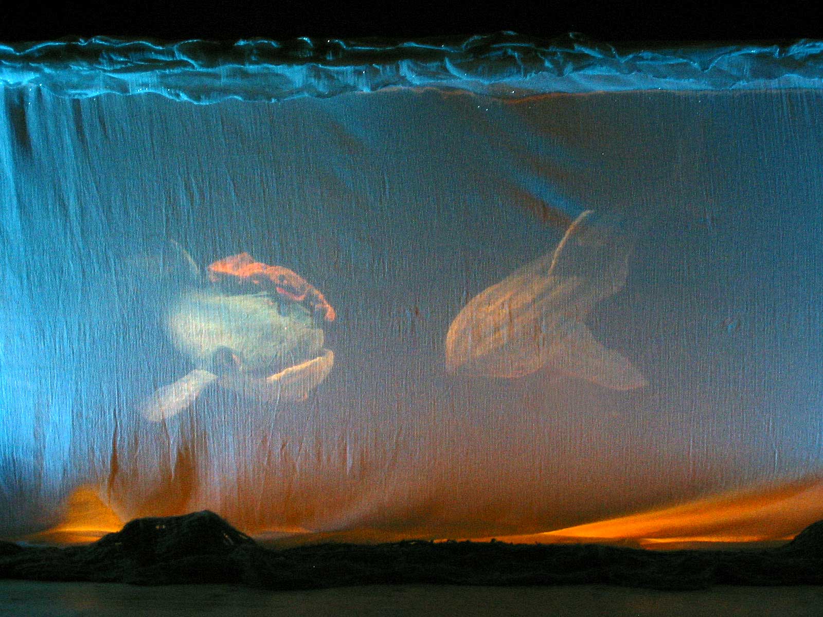 Attori e burattini nella magia di Azzurra Balena di Habanera teatro