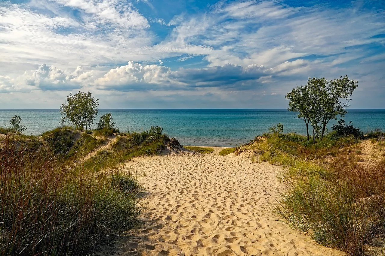 Horizon Regions4Climate: approvato il progetto di fattibilit tecnico economica per la fascia dunale del Parco della Sterpaia